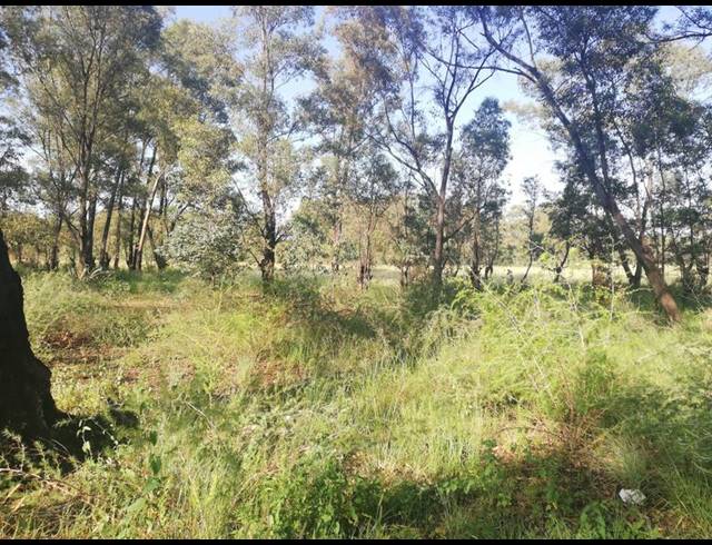 FARM FOR SALE IN DE DEUR ESTATES